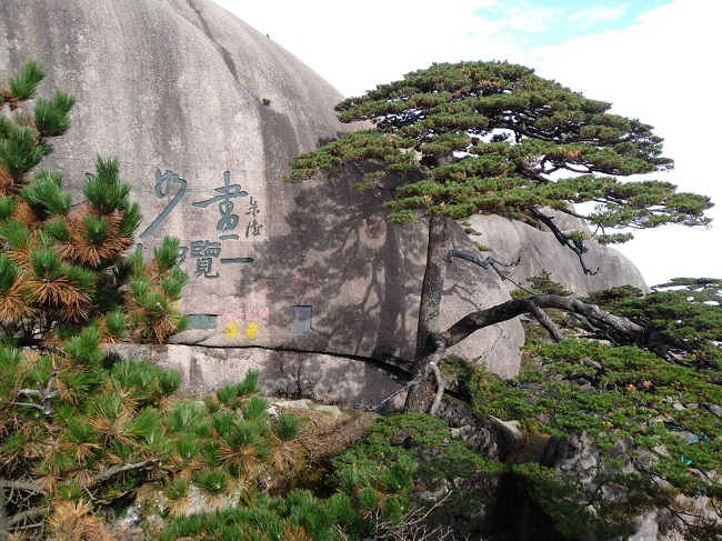 日登黃山，夜醉溫泉！